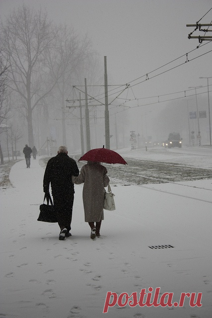 Найдено на сайте flickr.com.