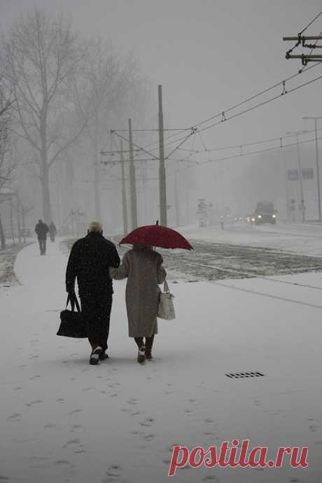 Найдено на сайте flickr.com.