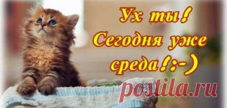 Василий Тимошин vasiliy-timoshin - Москва, Россия, 63 года на Мой Мир@Mail.ru