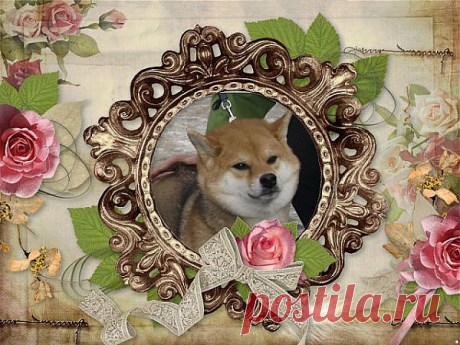 Наша девочка.