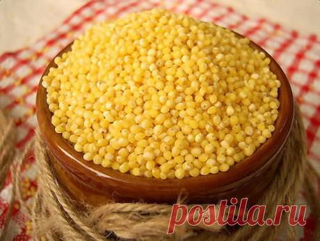 Не удивляйтесь, речь пойдет о пшене! Совершенно случайно открыл в инете полезные свойства пшена. У меня был просто шок!
Я и не подозревал, какие у него дивные свойства! Итак:
 

Если вы сидите на полуголодной диете, а очень хочется есть, возьмите полстакана пшена, промойте, залейте в банке стаканом воды и энергично ложкой разотрите зерна. Вода станет белой, как молоко. Это “молочко” прекрасно сбивает чувство голода. За неделю похудеете на 2 кг.​

Стакан пшена промойте, выс...