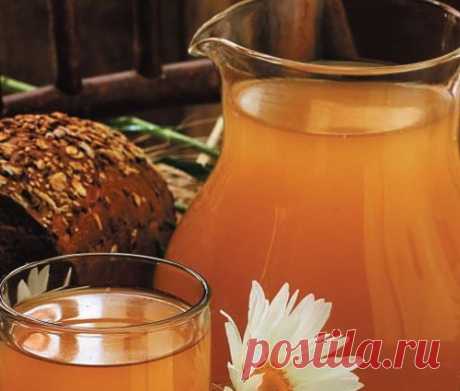 Русский квас много народу спас! Секреты национальной кухни