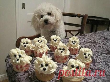 Креатив на кухне: интересные идеи для оформления блюд, салатов и бутербродов