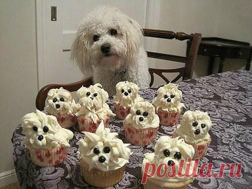 Креатив на кухне: интересные идеи для оформления блюд, салатов и бутербродов