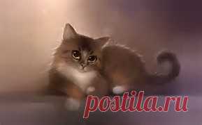 рисунки и картинки кошек и котят - Bing images