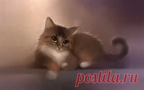 рисунки и картинки кошек и котят - Bing images