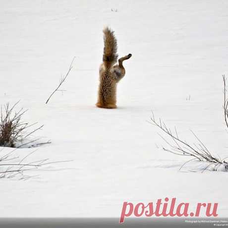 Невозможно выиграть забег, если вы не рискнете побежать, невозможно одержать победу, если вы не решитесь на битву