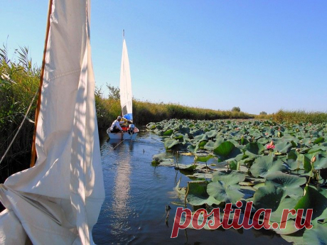 В походе... К лотосам - 30 Августа 2015 - Персональный сайт