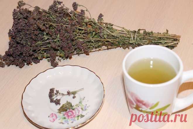 Мне уже 65, в больницах не бываю! Всего лишь 3 раза в неделю пью этот чай из обычной… — Копилочка полезных советов