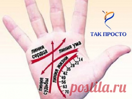КАК ЧИТАТЬ ЛИНИИ НА РУКАХ
Немного о том, что мы и как можем прочитать по нашей руке благодаря хиромантии. Другими словами - как гадать по руке и с чего начать :) 
1. Определите ту руку, какую необходимо изучать.
В хиромантии существуют понятия «активная рука» и «пассивная рука». Активная рука – это чаще всего та рука, которой вы пишете, соответственно пассивная – другая. Пассивная рука отвечает за наследственные признаки, за то, что в вас заложено генетически, а активная – показывает те изменени