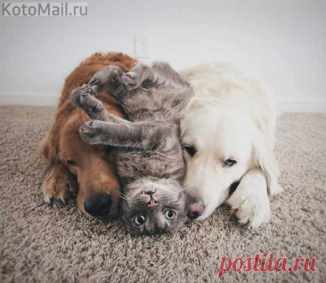 Друзья всегда меня поддерживают