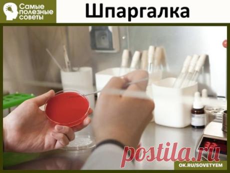 Шпаргалка
Никогда не давать антибиотик ДО того как на руки не получите анализ крови с лейкоформулой. 
Запомните, напишите себе где то на видном месте!!! 
ПОВЫШЕНИЕ лейкоцитов, СОЭ, лимфоцитов - ВИРУС 
ПОВЫШЕНИЕ лейкоцитов, СОЭ, нейтрофилов сегметоядерных и палочкоядерных + СНИЖЕНИЕ лимфоцитов - БАКТЕРИЯ 
без повышения нейтрофилов бактериальной инфекции НЕ БЫВАЕТ. Запомните это. Если вам сделали анализ без лейкоформулы, но вы видите, что лейкоцитов, к примеру, 15,4, а лимфоцитов 15-20, то уже