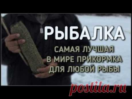 В этом выпуске мы, наконец-то, расскажем какой прикормкой для рыбы пользуемся и как её делаем, а так же покажем как она работает под водой. Иван вконтакте: h...