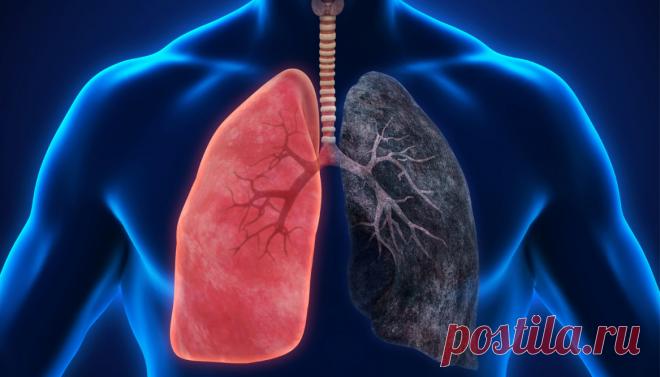 Проверяем в домашних условиях, нет ли проблем с легкими По понятным причинам, сейчас многие задумываются: а всё ли у них в порядке с легкими? Мнительные люди сразу начинают думать, что всё плохо. Но не нужно делать поспешных выводов. В каждой конкретной си