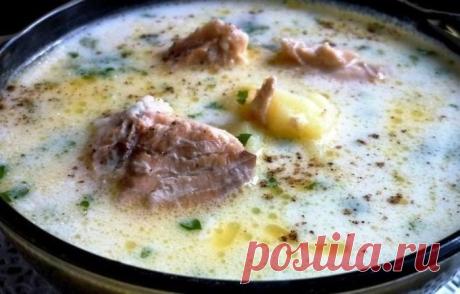 Лёгкий суп из консервированной горбуши