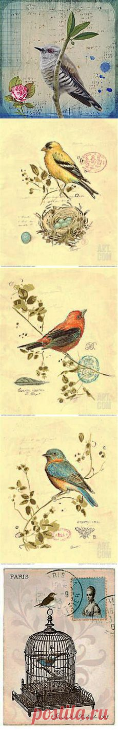 laminas decoupage в Pinterest
