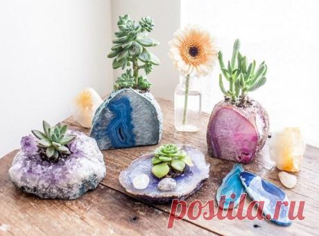 Домашние сады, которые можно сделать своими руками