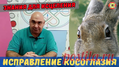 В письме к своим коллегам из Земляного города, доктор Виртус писал: &quot;Существует огромное количество упражнений для глаз, призванных сохранить и улучшить зрение. Но часто бывает и так, что после долгого и упорного выполнения этих упражнений, человек так и не получает заметного результата. И скорее всего это происходит из-за пренебрежения очень простыми, но очень важными правилами, о которых я обязательно расскажу в своей монографии. Также, я организовал Школу Умного Зрения...&quot;