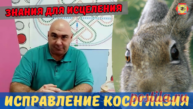 В письме к своим коллегам из Земляного города, доктор Виртус писал: "Существует огромное количество упражнений для глаз, призванных сохранить и улучшить зрение. Но часто бывает и так, что после долгого и упорного выполнения этих упражнений, человек так и не получает заметного результата. И скорее всего это происходит из-за пренебрежения очень простыми, но очень важными правилами, о которых я обязательно расскажу в своей монографии. Также, я организовал Школу Умного Зрения..."