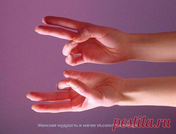 Мои закладки