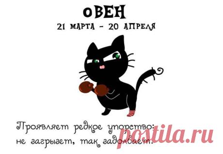 ГОРОСКОП В КОШАЧЬИХ ЗНАКАХ ЗОДИАКА)))