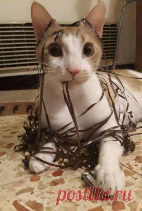 О, это была твоя любимая кассета?