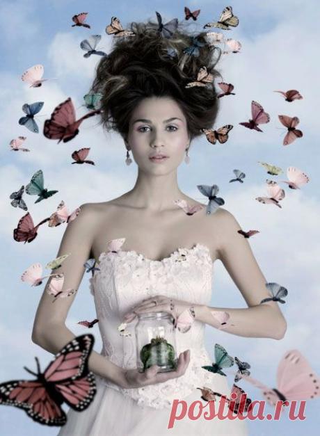 Что символизирует бабочка