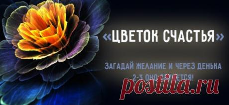 «Цветок Счастья» — загадай желание и через денька 2-3 оно сбудется!