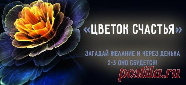 «Цветок Счастья» — загадай желание и через денька 2-3 оно сбудется!
