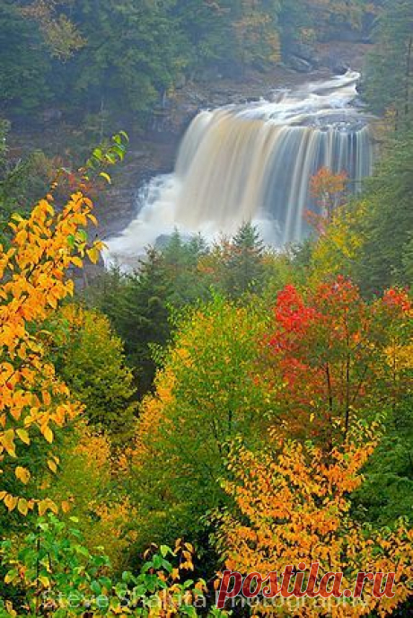 Lori Rich приколол(а) это к доске falling for autumn's beauty