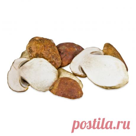 Картинки белого гриба (36 фото) ⭐ Забавник