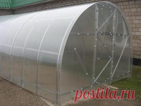Теплица из поликарбоната своими руками: необходимые материалы, подготовительные работы, этапы монтажа, советы по установке