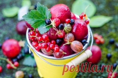 БИОпрепараты — природная защита Вашего сада и огорода! — Ботаничка.ru