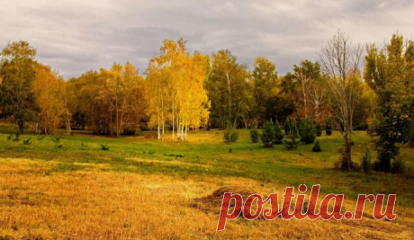 Красивое стихотворение про ОСЕНЬ на конкурс чтецов