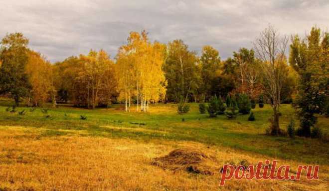 Красивое стихотворение про ОСЕНЬ на конкурс чтецов