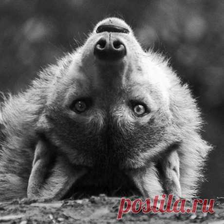 Pinterest: инструмент для поиска и хранения интересных идей