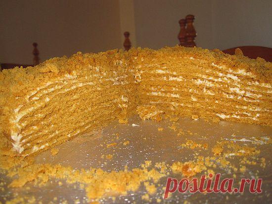 рецептик Медовика - Сообщество «Кулинарное сообщество» / Кулинария