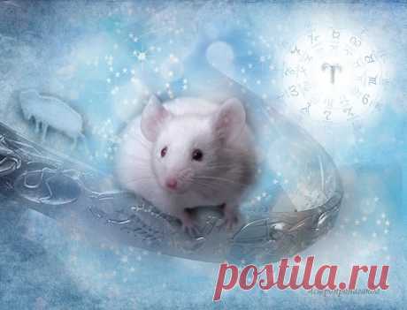Гороскоп на 2020 год. Испытания, которые сделают многих сильней | Астропропаганда | Яндекс Дзен
✨ Автор: астролог Нина Стрелкова. ✧ 2020 год будет годом Белой Мыши или Крысы. Белый цвет ей придает господствующая стихия Металл, гибкая и жёсткая одновременно. В западном Зодиаке Крысе соответствует знак Овна, чья стихия Огонь. По семилетнему западному циклу 2020-м годом правит Луна, её стихия – Вода, а цвет тоже белый. Год Луны наступит в последней декаде марта, при переходе Солнца в знак Овна.
