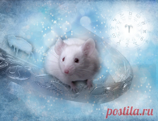 Гороскоп на 2020 год. Испытания, которые сделают многих сильней | Астропропаганда | Яндекс Дзен
✨ Автор: астролог Нина Стрелкова. ✧ 2020 год будет годом Белой Мыши или Крысы. Белый цвет ей придает господствующая стихия Металл, гибкая и жёсткая одновременно. В западном Зодиаке Крысе соответствует знак Овна, чья стихия Огонь. По семилетнему западному циклу 2020-м годом правит Луна, её стихия – Вода, а цвет тоже белый. Год Луны наступит в последней декаде марта, при переходе Солнца в знак Овна.