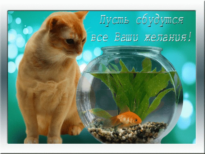 583629032.gif (800×600)