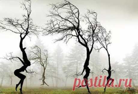 Работа с противоположностями