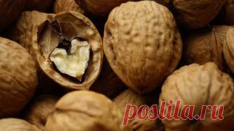 Если вы прочитаете это, то больше не выбросите ореховую скорлупу
Скорлупа грецкого ореха является кладезем полезных веществ и микроэлементов. Выбрасывая этот продукт в мусорку мы лишаем себя возможности профилактики сердечно-сосудистых заболеваний, и в первую очер…