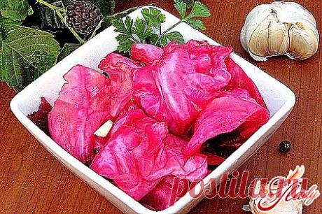 Маринование капусты: рецепты приготовления