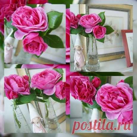 (6) Facebook