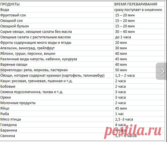 Время переваривания пищи