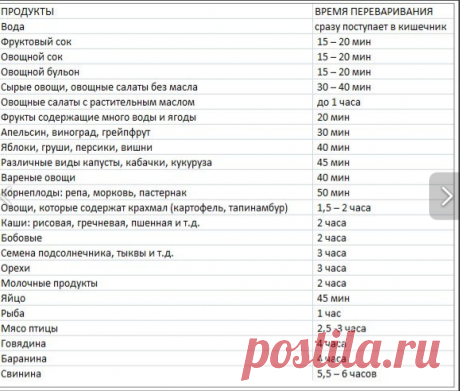 Время переваривания пищи
