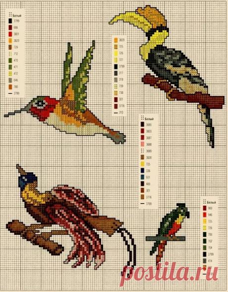 вышивка мелких птичек гладью рисунки птичек: 11 тыс изображений найдено в Яндекс.Картинках