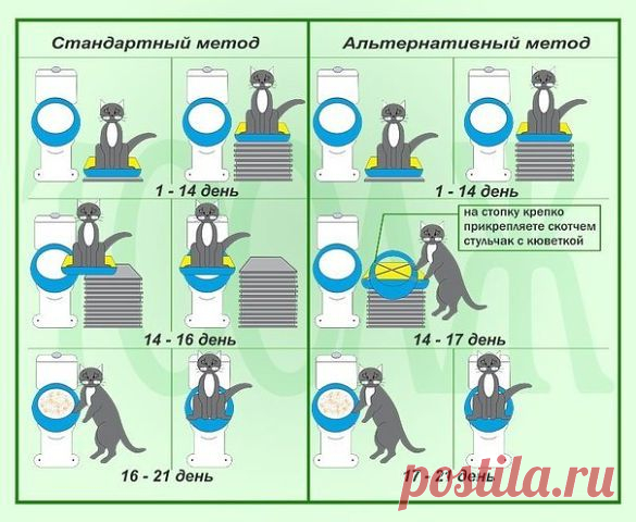 (65) Одноклассники