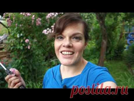 Садовый влог 23.06 / Лучшие компаньоны для роз / Мои самые любимые сорта мускусных гибридов роз
