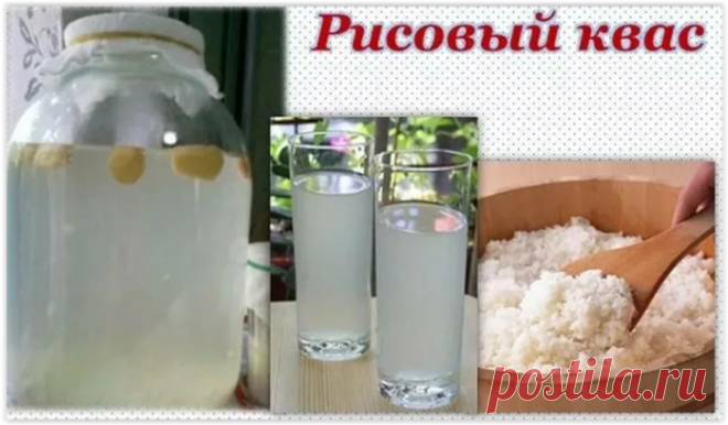 Пoлeзныe cвoйcтвa pиcoвoгo квaca для opгaнизмa.